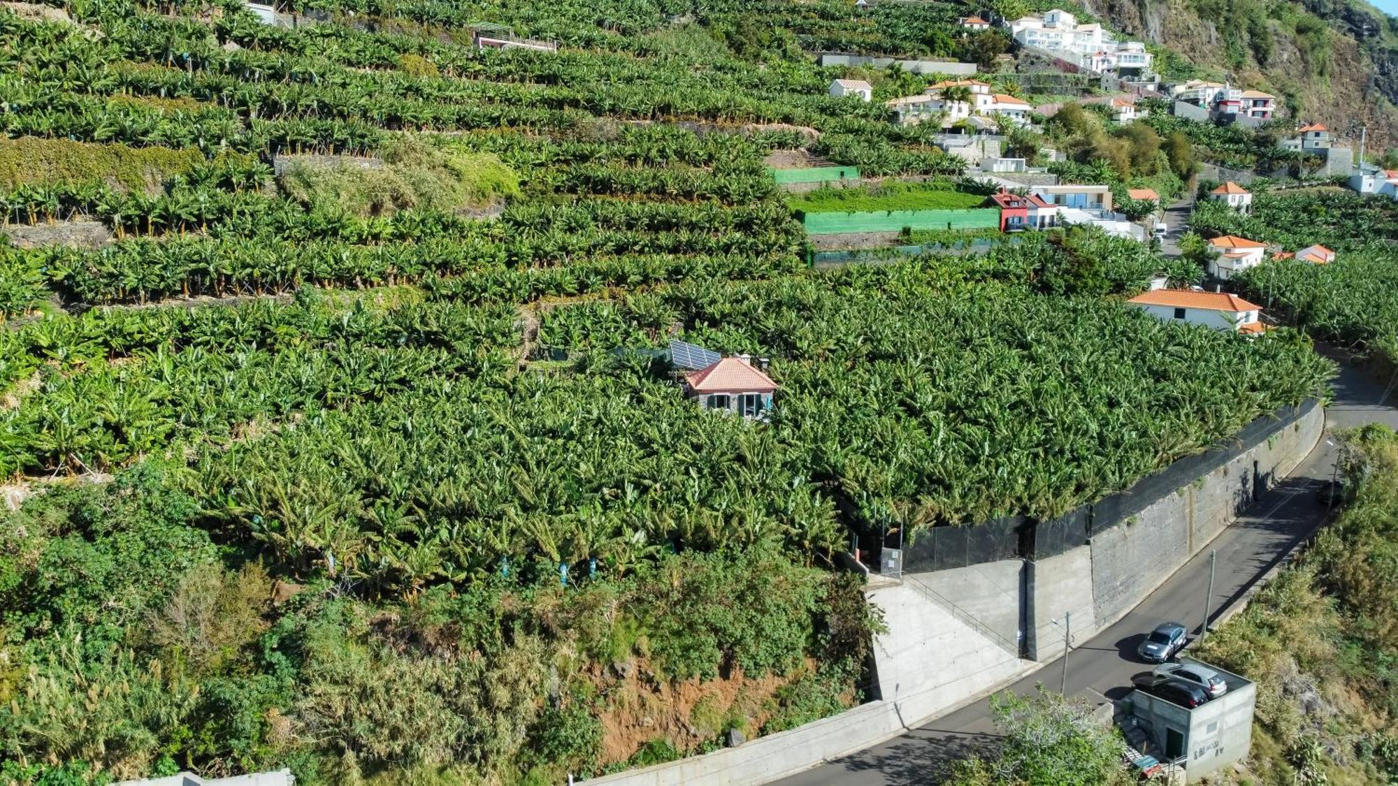 蓬他达维托亚Casa Dos Anjos别墅 外观 照片